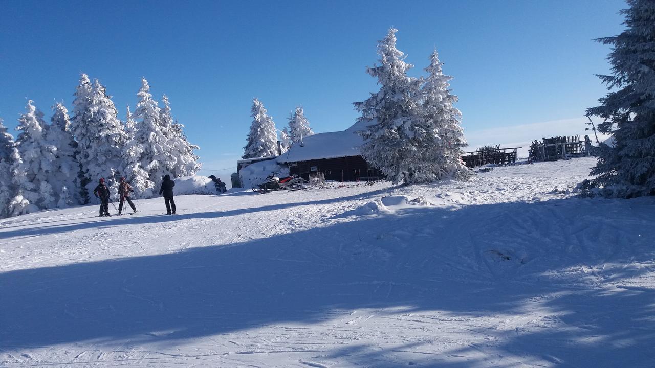 Apartment Dunja Konaci Kopaonik Exterior foto